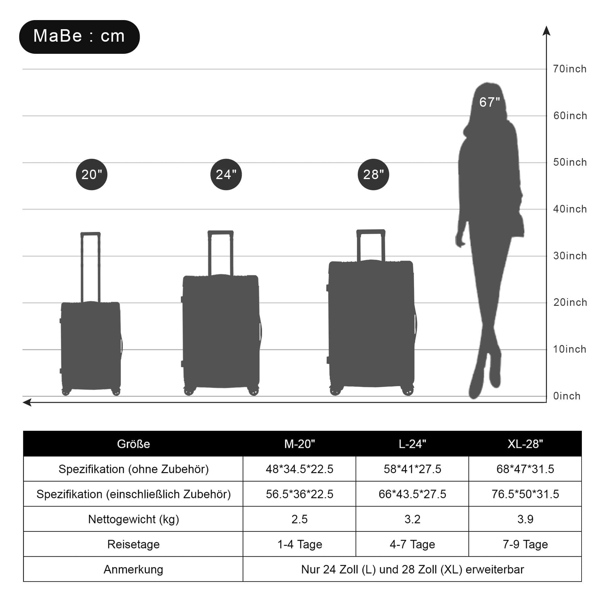 Flieks Hard Shell Trolley Suitcase - Travel Luggage with Twin Wheels Schwarz-Br Koffer & Reisegepäck Flieks