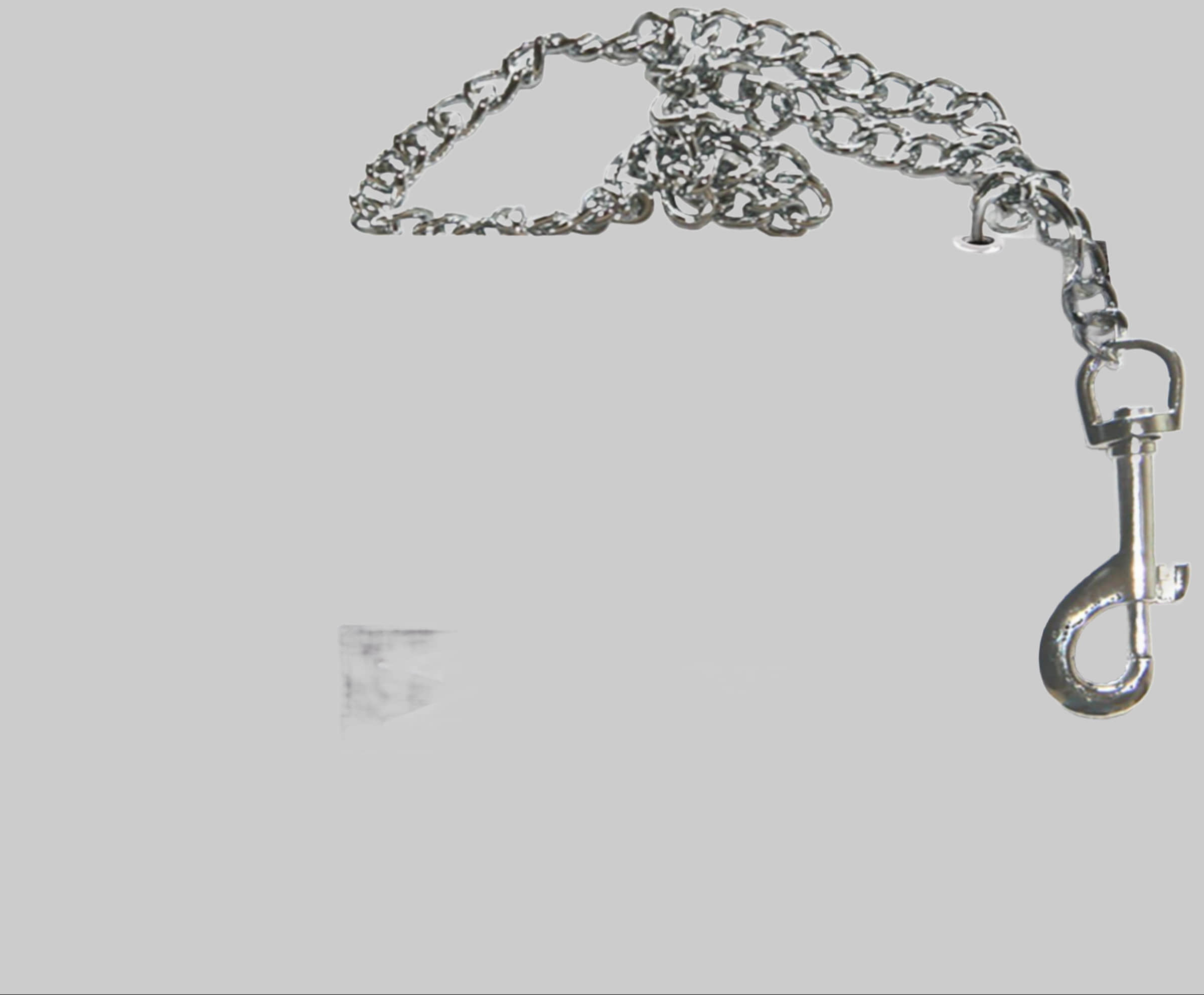 2Stoned Mädchenmode 2Stoned Chain Wallet Speed - Chrome Chain & Carabiner Weiß