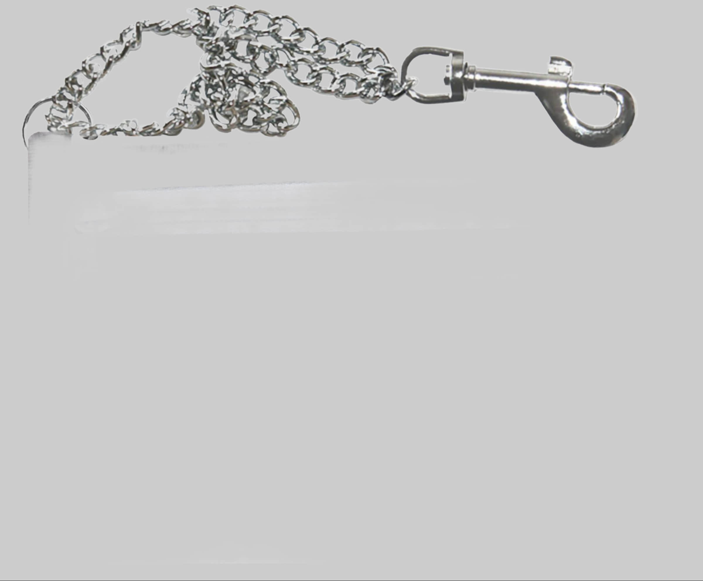2Stoned Mädchenmode 2Stoned Chain Wallet Speed - Chrome Chain & Carabiner Weiß
