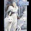 Anne Stokes Wolf Guardians Wallet - Enchanted Winter Fantasy Purse Figuren Shop GmbH Mädchenmode