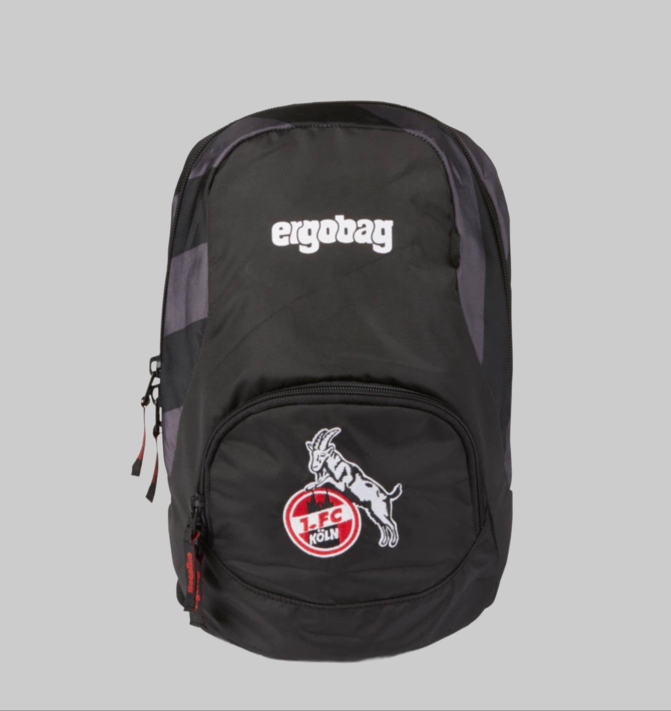 Ergobag ease Small Rucksack: Daycare & Playtime Companion DomstürmBä Rucksäcke ergobag