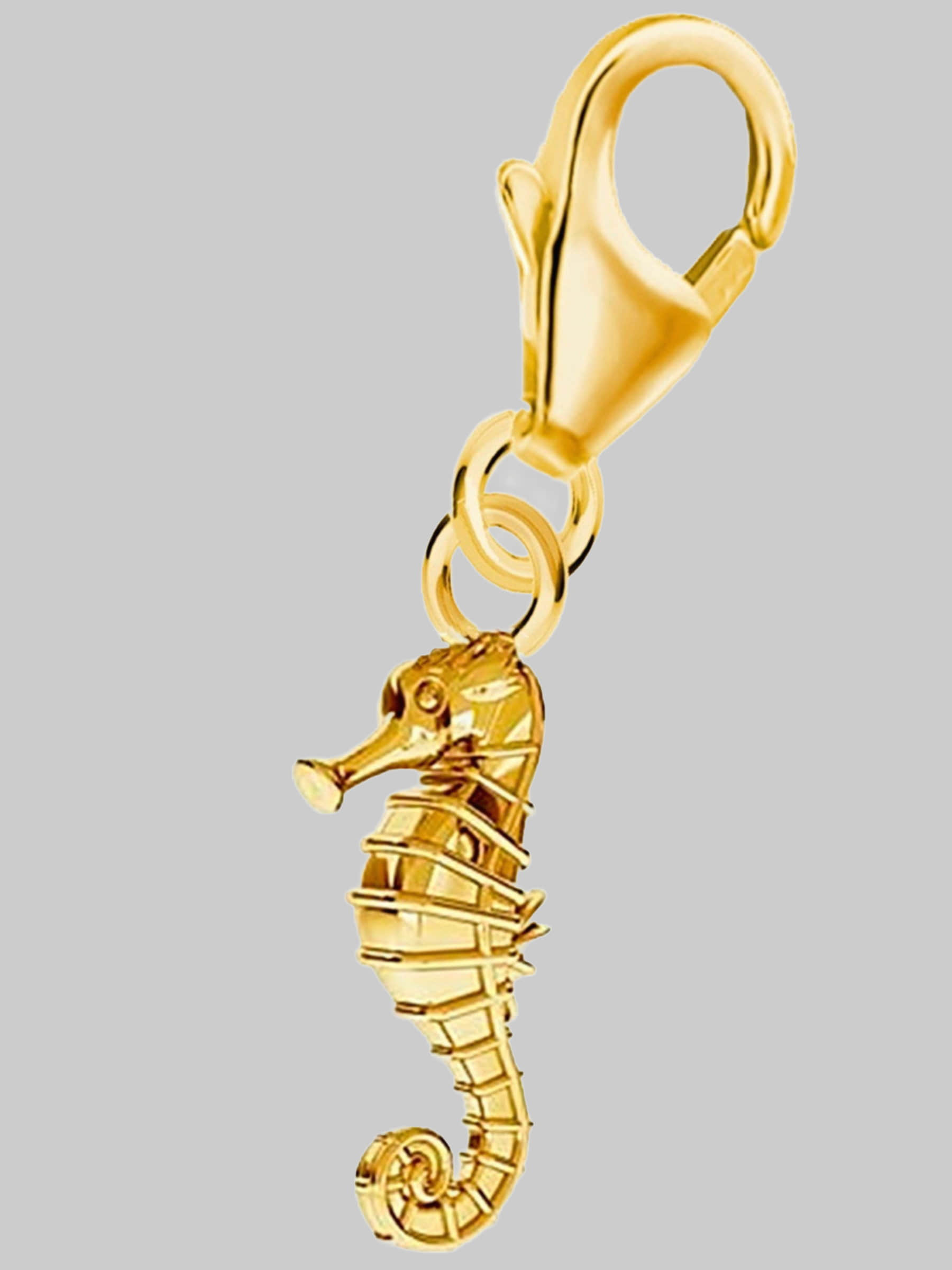 Goldene Hufeisen Sterling Silver Charm - Music & Dance Theme - 925 Silver Bracelet/Necklace Accent gold myToys