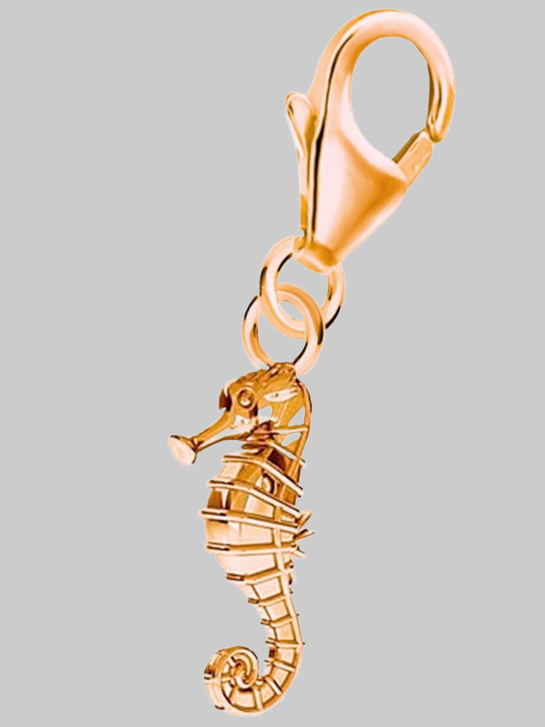 Sterling Silver Charm - Music & Dance Theme - 925 Silver Bracelet/Necklace Accent rosegold Goldene Hufeisen myToys